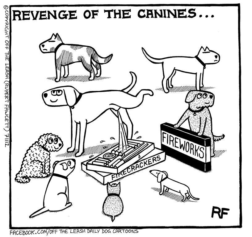 Revenge of the canines (on fireworks)