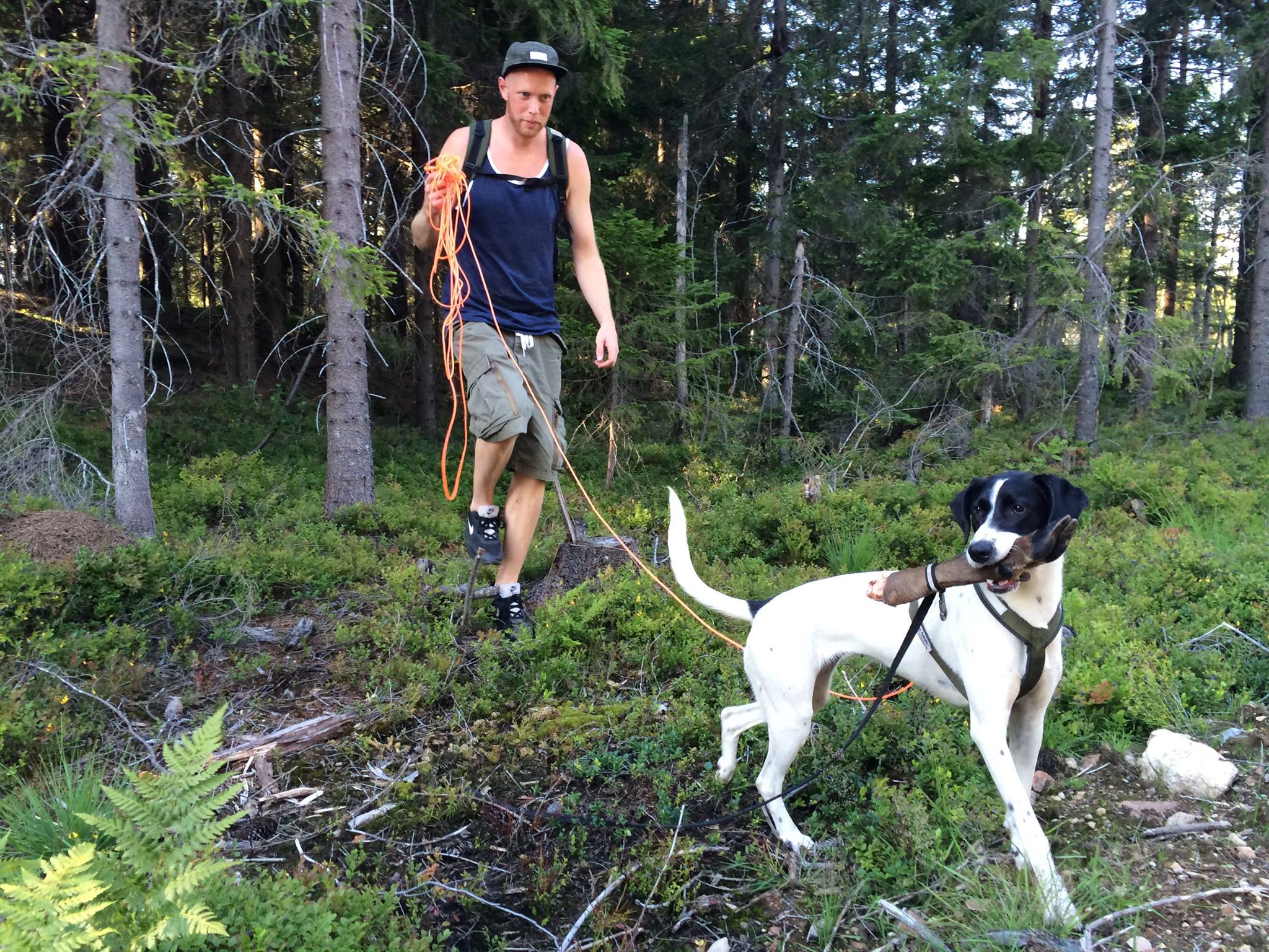 Tess Erngren, GoodDog, hund, kurs, hundekurs, valp, valpekurs, hundetrening, problemadferd, problematferd, positiv, hverdagslydighet, lydighet, hundepsykolog, yrkesutdanning, yrkesutdannelse, foredrag, hundetreff, hundepass, ferie, camp, klikker, privattrening, hundeinstruktør