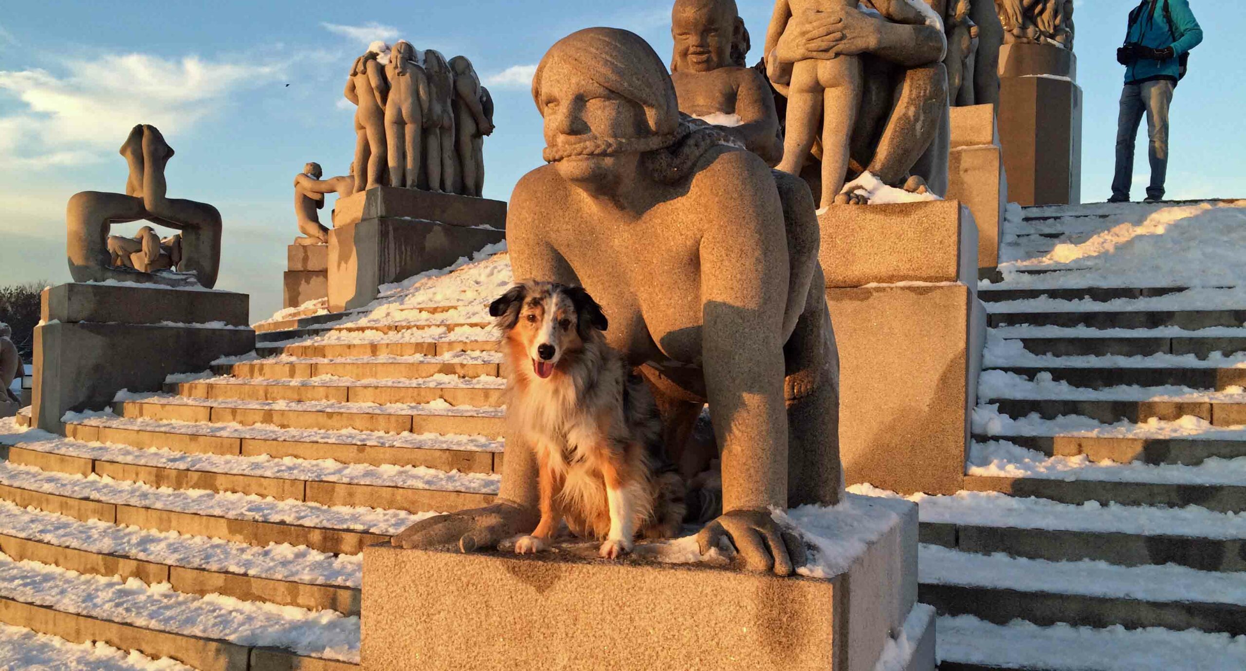 Kul på tur – med Dogman