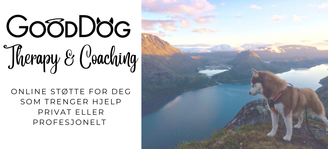 GoodDog Therapy & Coaching