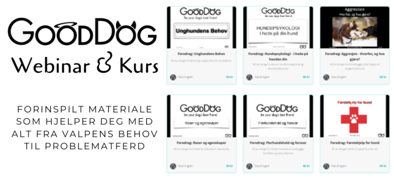 GoodDog Webinar & Kurs