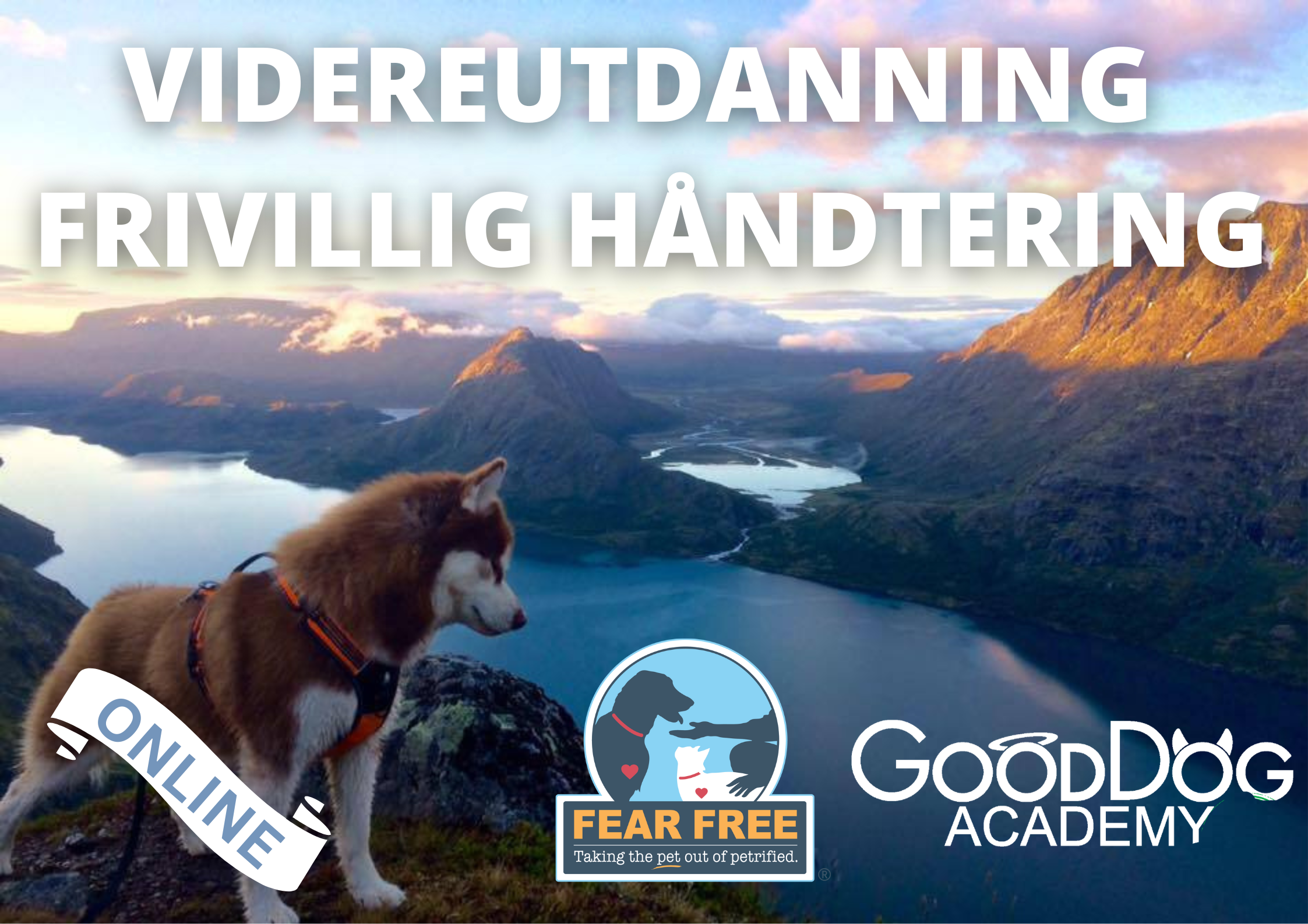 Videreutdanning Frivillig håndtering 