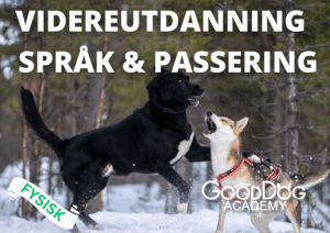 Videreutdannelse Språk & Passering