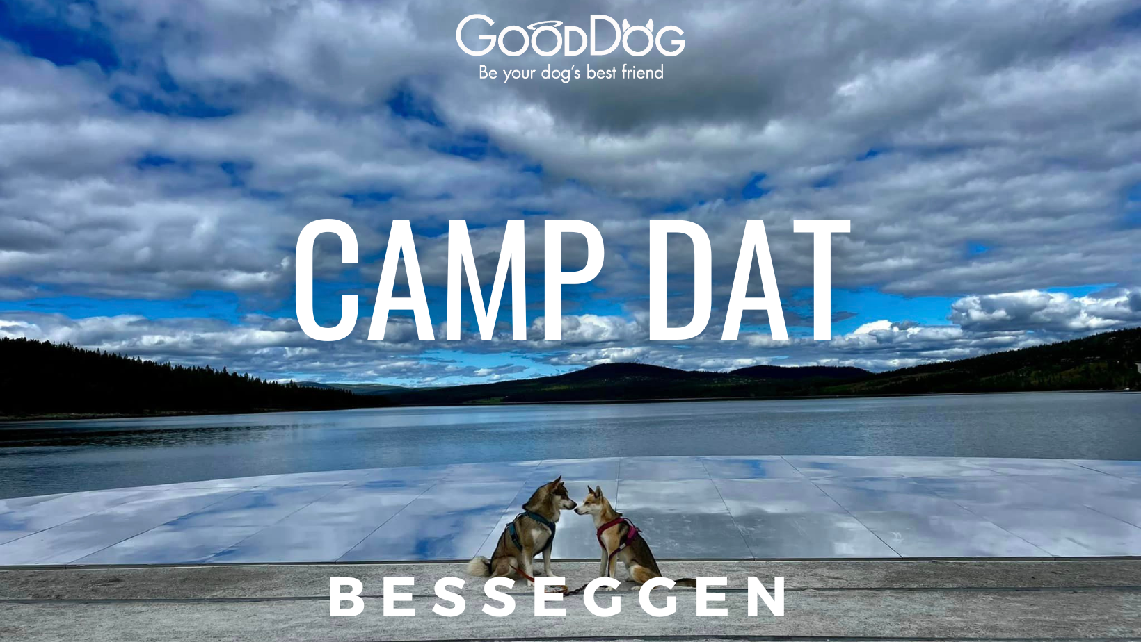 Camp DAT