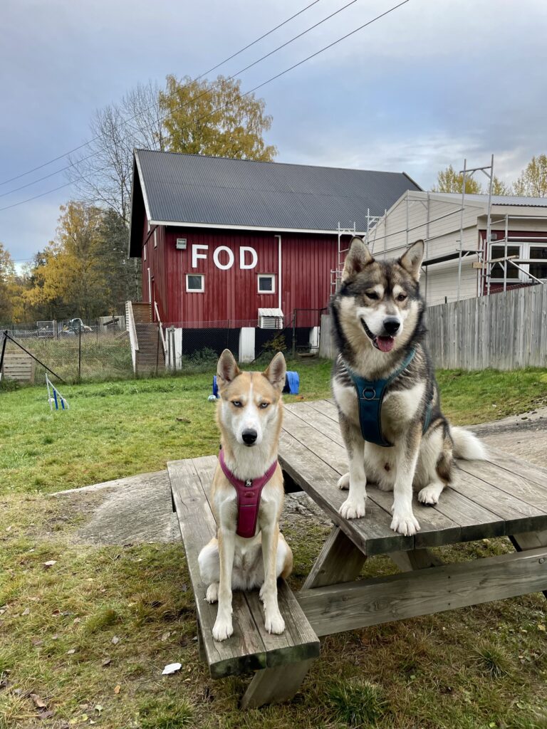 Fod