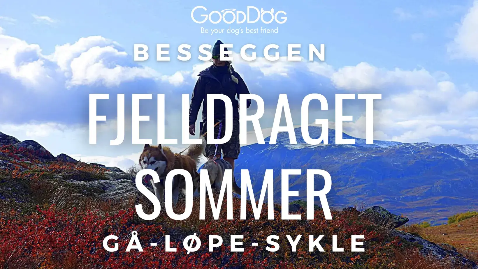 Fjelldraget Sommer