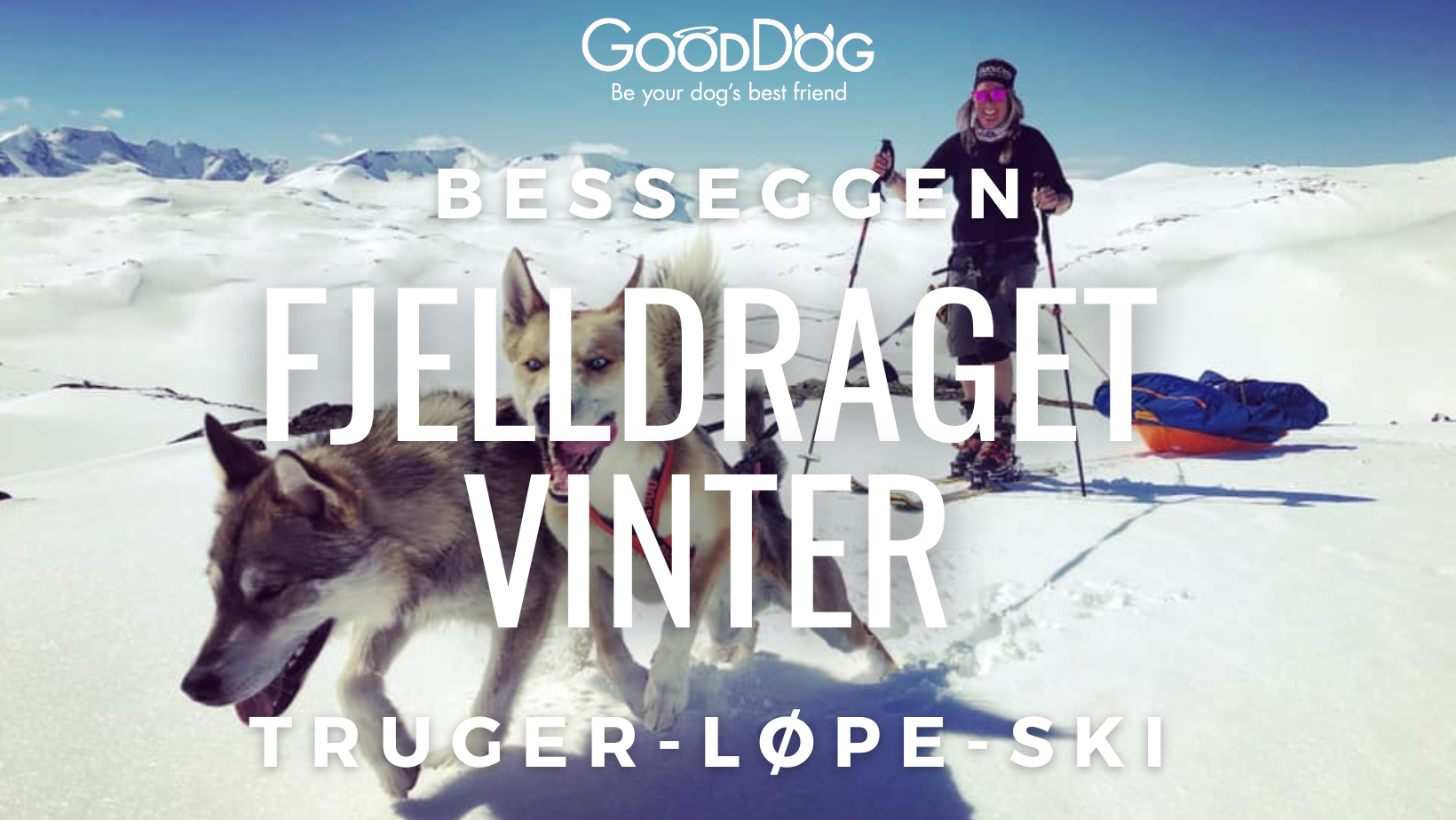 Camp FJelldraget vinter
