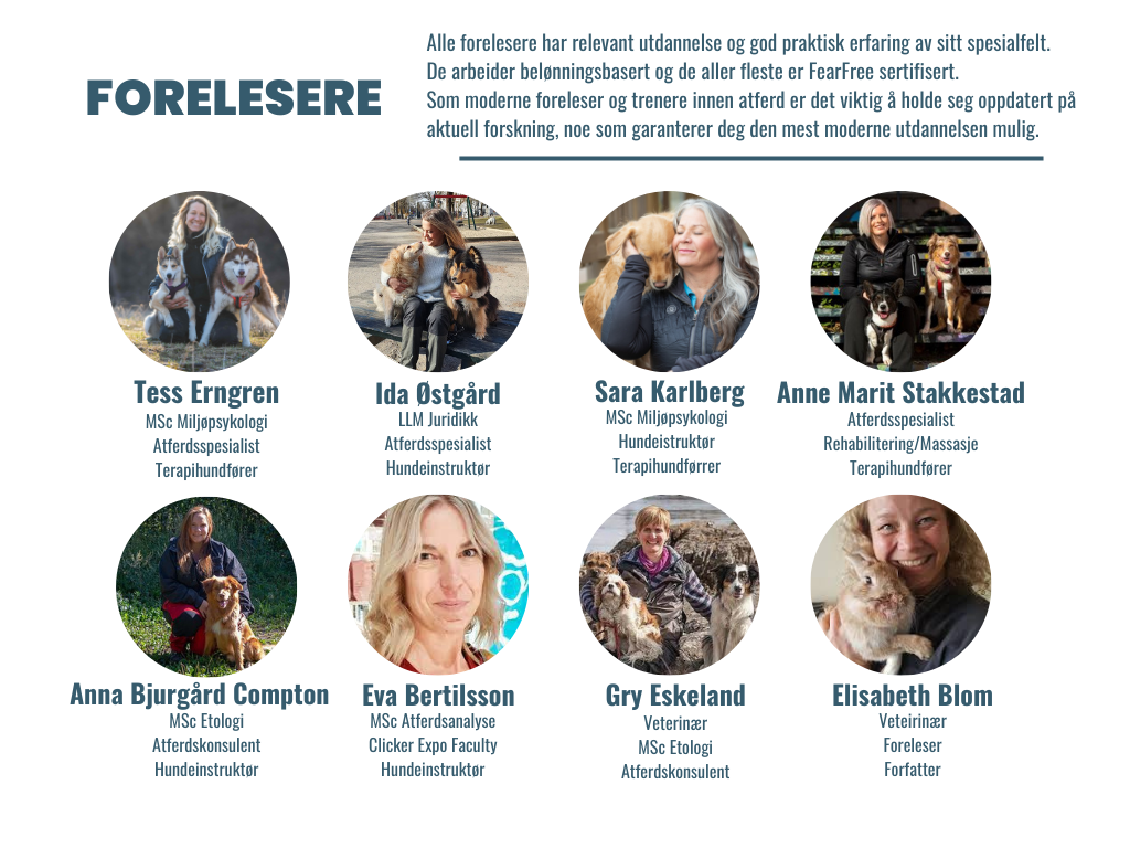 Lista på föreläsare